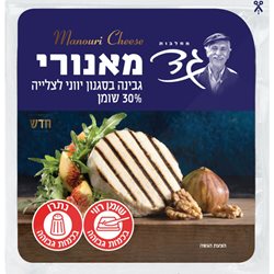 גד- גבינה בסגנוןיווני לצלייה 30% שומן